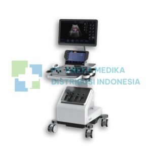 Cortexmed Chronos 10 USG Radiology dengan 2 Probe (Radiology Modul, 2D Convex + 2D Linear)